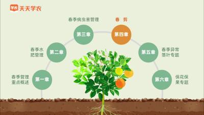 无处下手，这个果园春剪实操看好了！