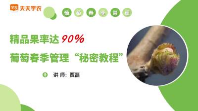 病虫防控：有药