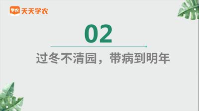 清园工作有哪些？