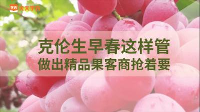 修花穗，做出串串精品果