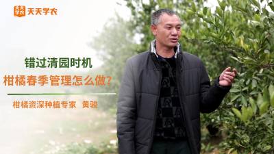 错过清园时机，春季管理该怎么做