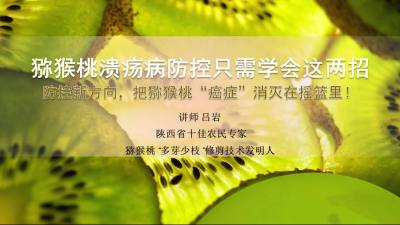 防控第二招（下）：透光、免灌、提抗性