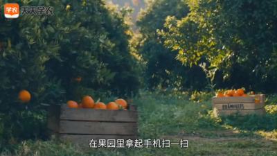 大数据时代来临，农业撞上高科技