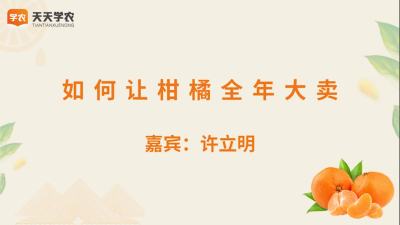 许立明&mdash;&mdash;怎么让柑橘全年大卖？