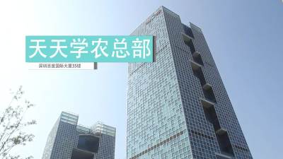 预告片