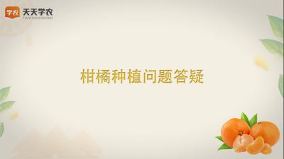 柑橘种植问题答疑和访谈寄语