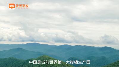 大品牌和现代消费者需要什么样的水果？