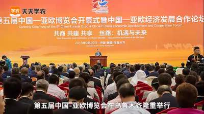 他研发的燃油无人机，竟能消灭80%的红蜘蛛