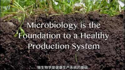 有机肥与土壤生物