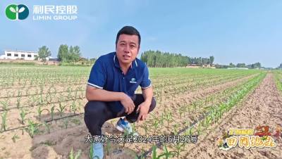 #甜菜夜蛾 虫子来了不可怕，选对药剂全拿下。