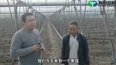 葡萄清园方案农户回访#利民控股#走进田间