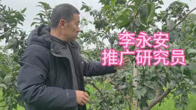 #萌芽药好久打？ #李老师说柑桔