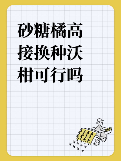 砂糖橘高接换种沃柑可行吗