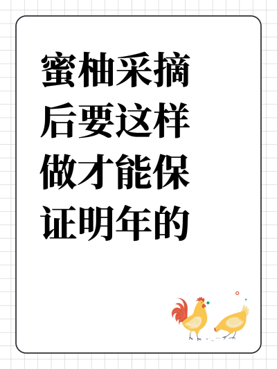 蜜柚采摘后要这样做才能保证明年的产量