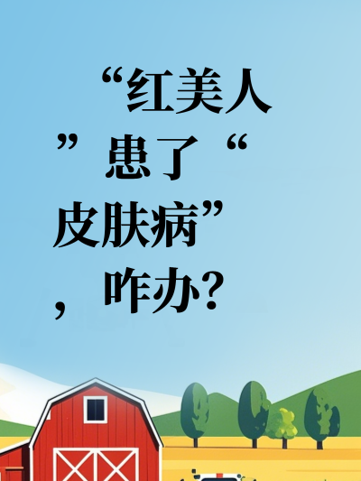 &ldquo;红美人&rdquo;患了&ldquo;皮肤病&rdquo;，咋办？