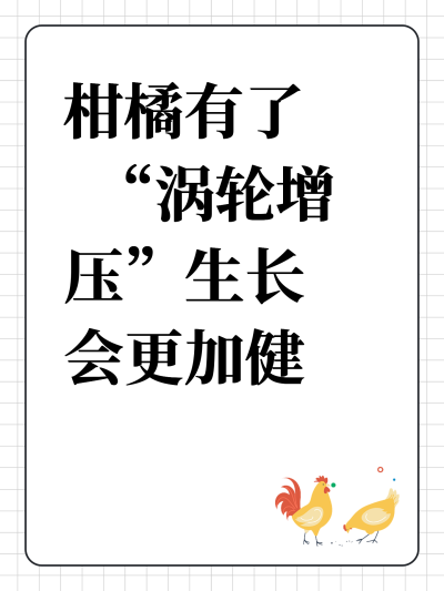 柑橘有了&ldquo;涡轮增压&rdquo;生长会更加健壮