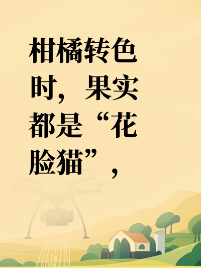 柑橘转色时，果实都是&ldquo;花脸猫&rdquo;，如何正确使用药肥？