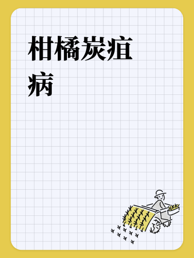 柑橘炭疽病