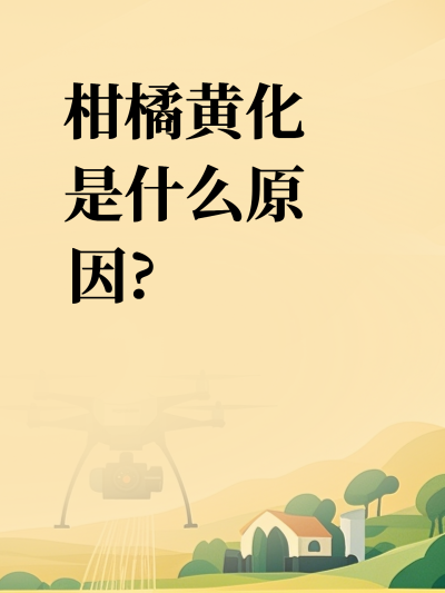 柑橘黄化是什么原因?