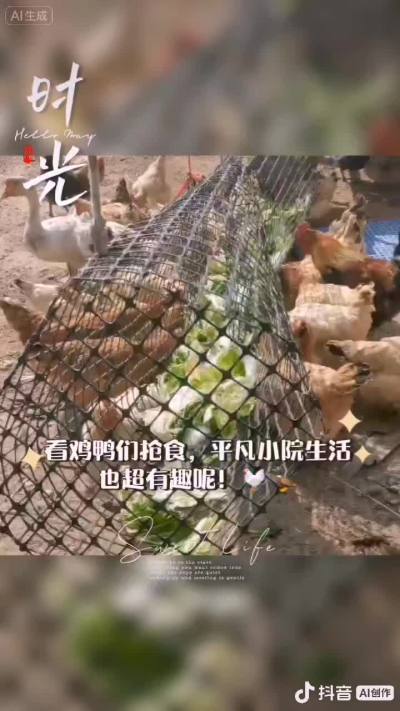 我们养殖基地新制作的喂菜篮