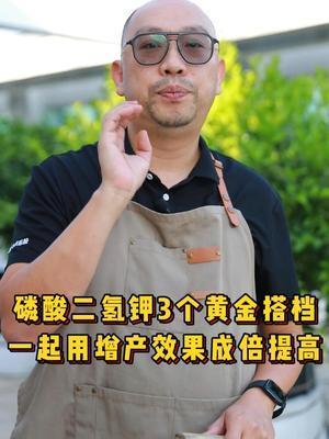 磷酸二氢钾3个黄金搭档，一起用增产效果成倍提高！ #三农 #种植小技巧 #农业 #种植 #新农业