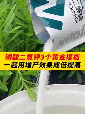 磷酸二氢钾3个黄金搭档，一起用增产效果成倍提高！ #种植小技巧 #农业种植 #农业 #农业种植