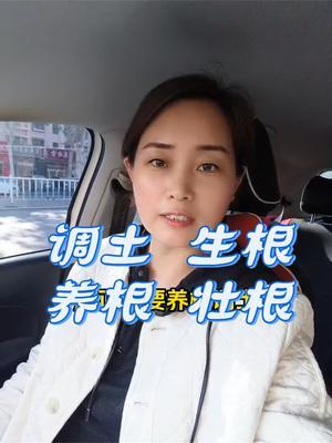 #土壤改良 #生根养根#传播农业小知识 #农业种植#优质农产品