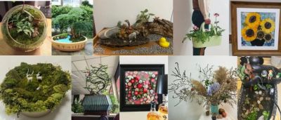 花漾新年园艺大赛大众评审环节来了，为你喜欢的作品投票打call~