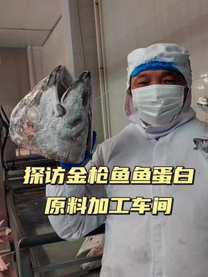 探访金枪鱼鱼蛋白肥料原料车间#金枪鱼#鱼蛋白#农田行者