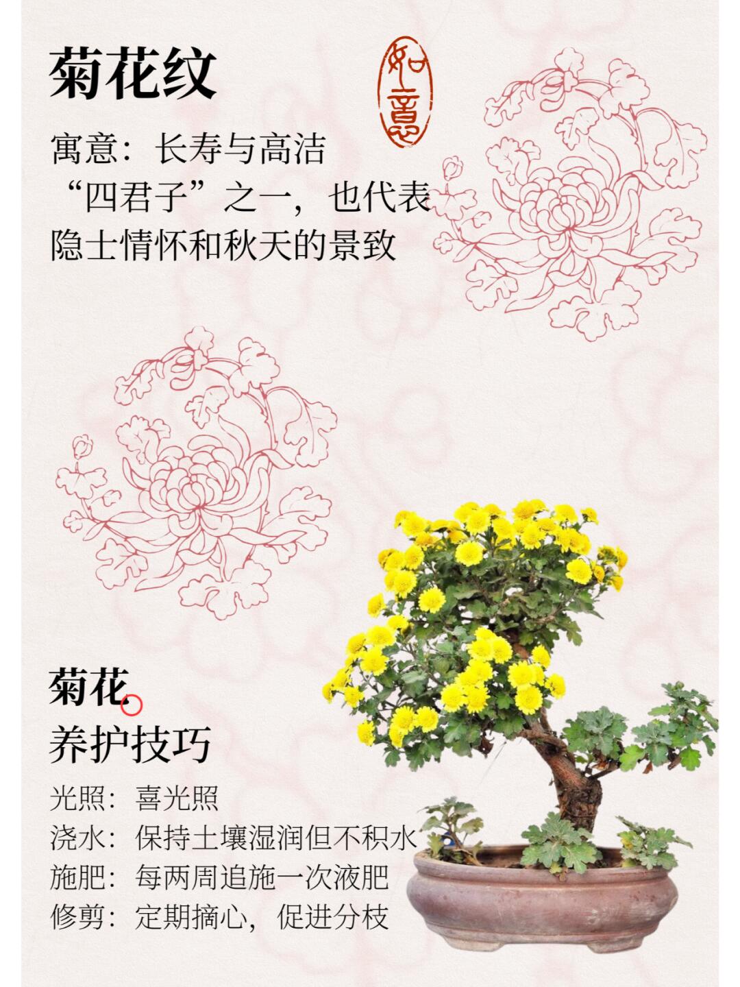 http://static.ixuenong.com/pxn/uploads/prod/thirdfile/2024/12/4fa8f9e9c74c4c1af307517e45799cd5.jpg