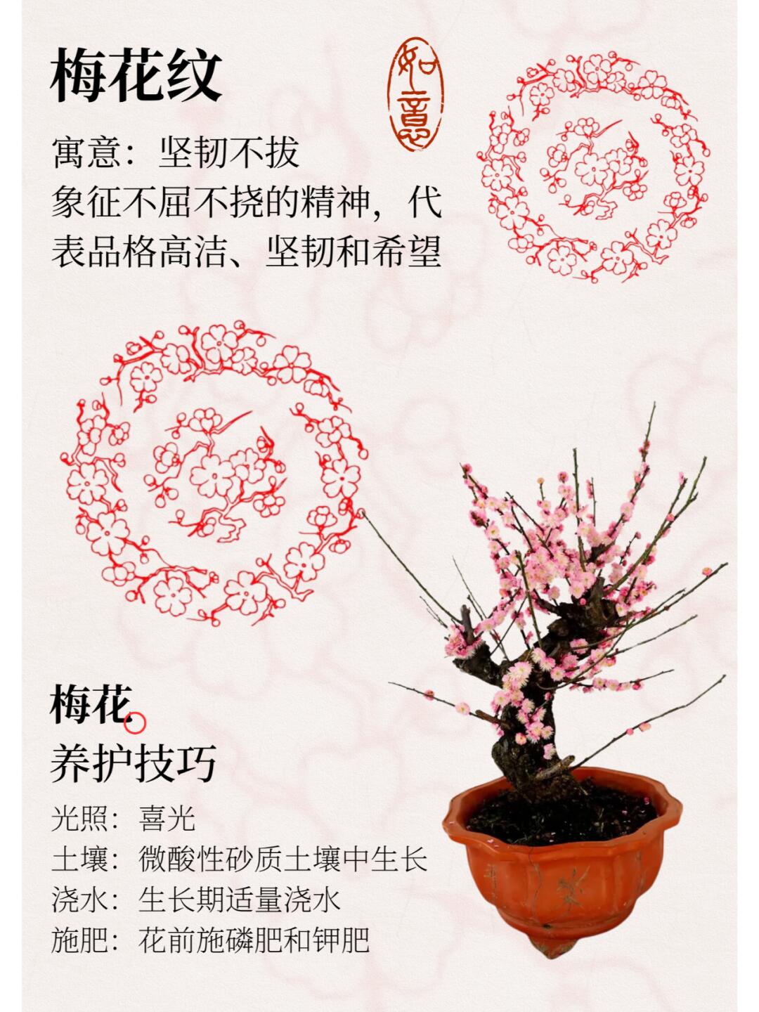 http://static.ixuenong.com/pxn/uploads/prod/thirdfile/2024/12/518bced38b31f64063ca975fe5ec25cc.jpg