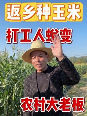 采访③&mdash;在农村当小老板种玉米的【老谭】 #玉米 #农村生活 #返乡创业青年 #土地流转 #种地不容易 @谭石林