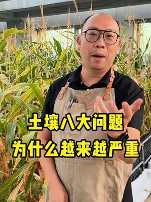 作物长势差！黄化严重！看看是不是土壤出了问题！ #农业种植  #土壤  #重茬  #大实话  #正能量
