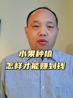 水果种植怎样才能赚到钱？#水果生意 #西梅种植#农田行者#农田行者技术服务联盟