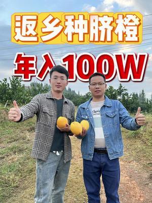 采访①&mdash;&mdash;在农村种植脐橙年入百万的【农人旺旺】 #创业vlog #返乡创业新农人 #赣南脐橙 #电商创业 @农人旺旺