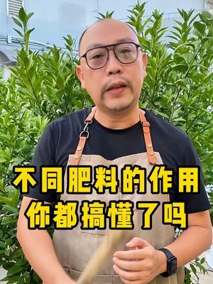 不同肥料的不同作用，用对了事半功倍，用错了白费功 #肥料  #农业种植  #科普  #大实话  #种植小技巧