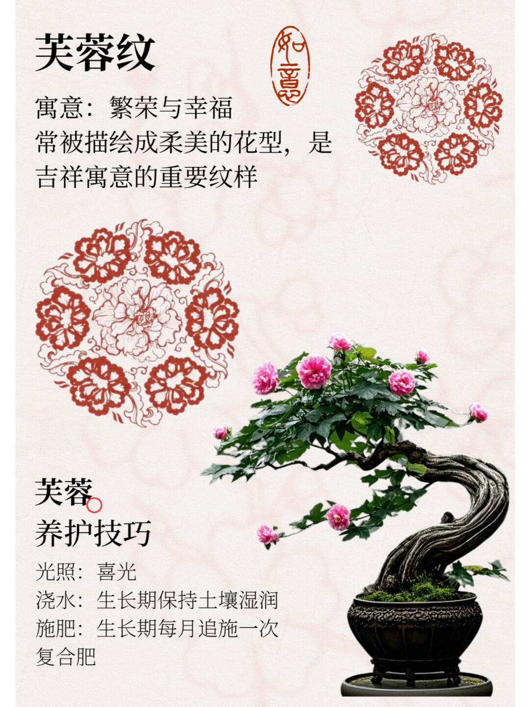 http://static.ixuenong.com/pxn/uploads/prod/thirdfile/2024/12/b5f659ad792c0be789dcfc9bf35fdcc3.jpg