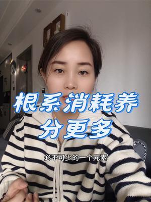 #农业种植#传播农业小知识 #养根壮根#土壤改良 #优质农产品