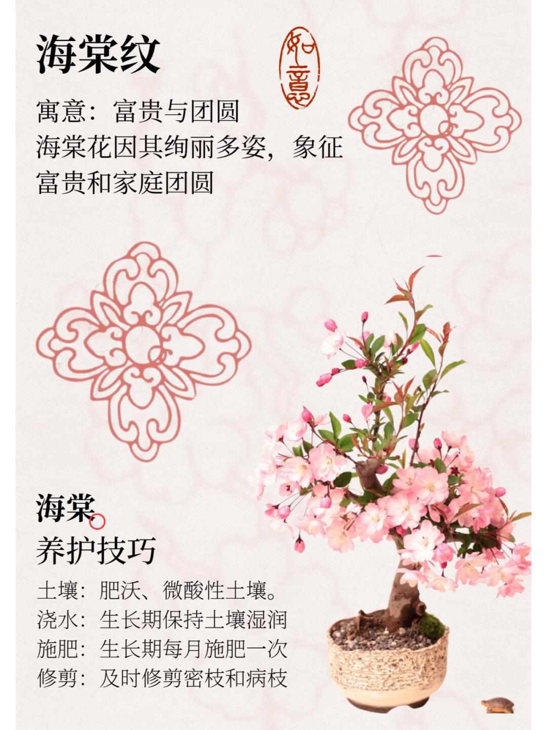 http://static.ixuenong.com/pxn/uploads/prod/thirdfile/2024/12/bb063f4c72aac1fd7a188a84bbf21cda.jpg