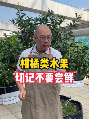 冬天一到，柑橘大量上市，不过这类水果千万不要尝鲜，部分有毒！#新农人计划 #三农 #抖音新农人 #柑橘 #耙耙柑