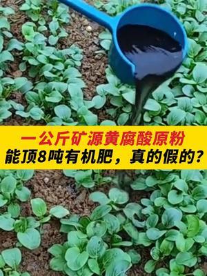 一公斤矿源黄腐酸原粉，能顶8吨有机肥，真的假的？ #农业种植 #种植小技巧 #肥水制作 #农业