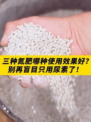三种氮肥，哪种效果好？ #三农 #农业种植 #种植小技巧  #肥料 #智慧农业