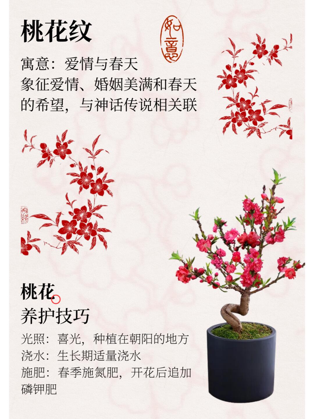 http://static.ixuenong.com/pxn/uploads/prod/thirdfile/2024/12/dbd9910fd9cd97ff33b36842fe5f1588.jpg