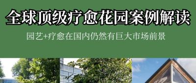 一个被忽视的&ldquo;疗愈花园&rdquo;赛道，为何让国外人如此痴迷？（附全球疗愈花园案例解读）