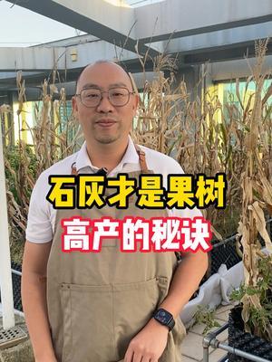 石灰才是果树高产的秘密武器，成本又低又省心,赶紧用起来#石灰 #果树种植 #果园 #农业