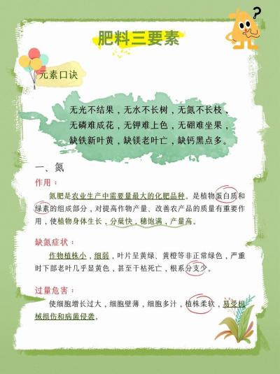 种植必看🌿肥料三要素