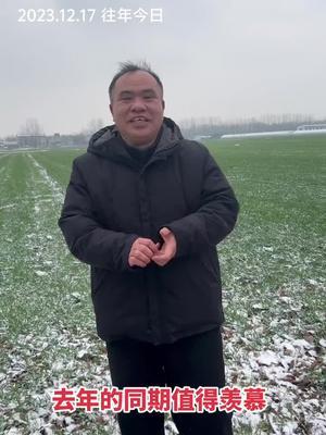镇压结合冬灌，小麦不怕春旱，今年用上了！