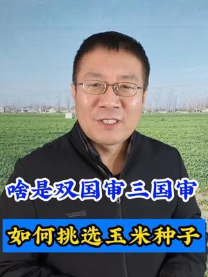 什么是双国审三国审，如何挑选高产种子？ #玉米种植 #玉米种子怎么选 #分享农业知识帮农民增产增收 #农业种植 #农业小知识