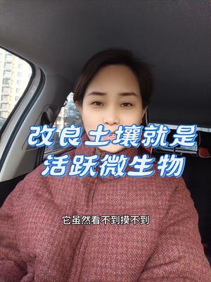 #农业种植#土壤改良 #微生物#传播农业小知识 #优质农产品