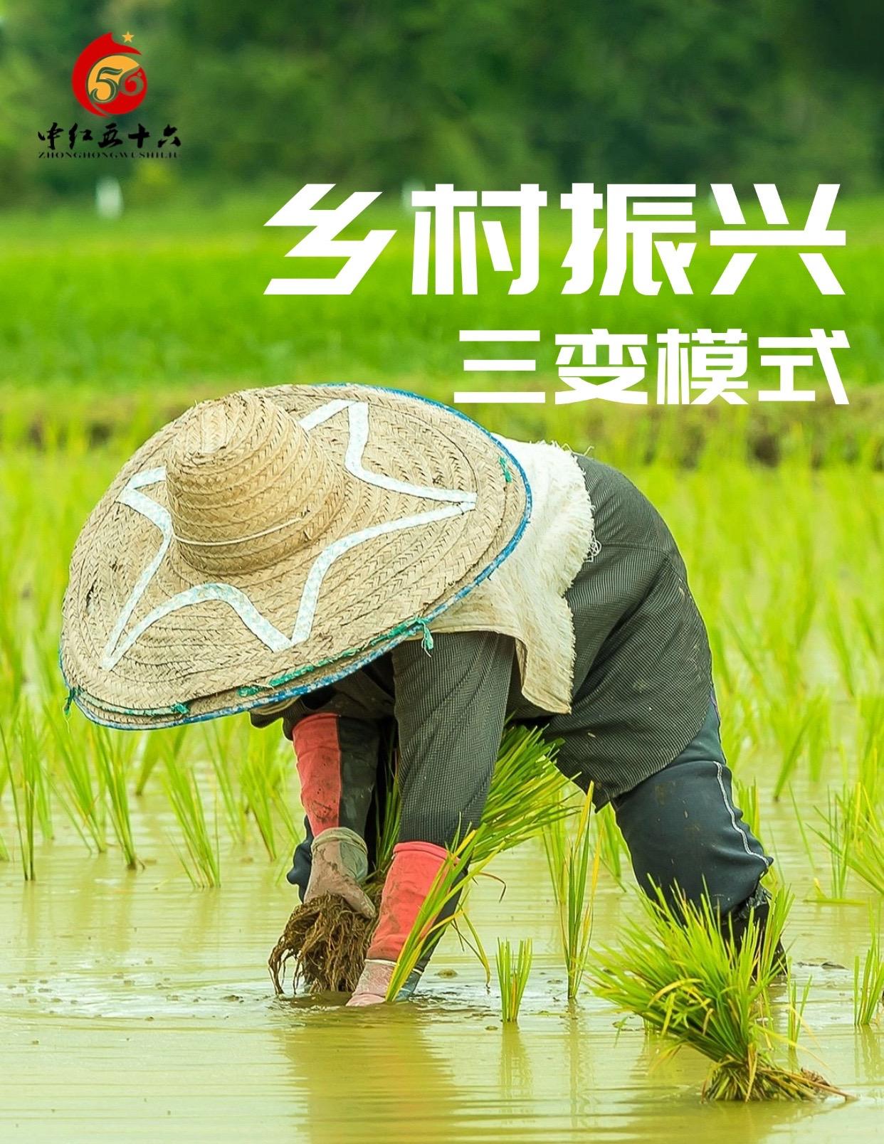 http://static.ixuenong.com/pxn/uploads/prod/thirdfile/2025/01/142d29254f09a1706306b960deecc0fb.jpg